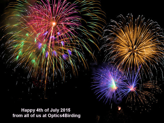 Fireworks: 4th of July 2015