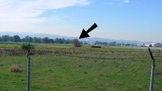 Digiscoping – Is it worth the trouble?