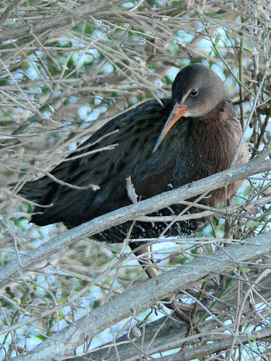 Looking for Love – Is This the Right Place?