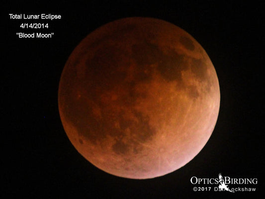 Blood Moon in Southern California